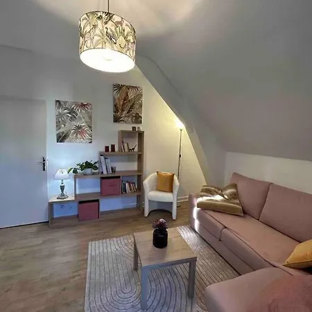 Confortable T3 Juste Renove Au Coeur D'aurillac Апартаменты Орийак